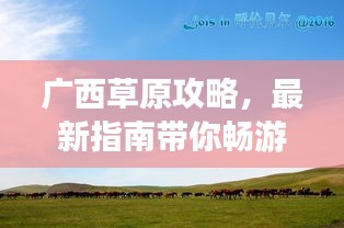 廣西草原攻略，最新指南帶你暢游草原美景！