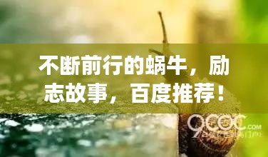 不斷前行的蝸牛，勵(lì)志故事，百度推薦！