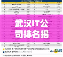 武漢IT公司排名揭秘，十大領(lǐng)先企業(yè)榜單