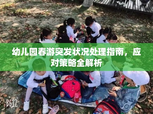 幼兒園春游突發(fā)狀況處理指南，應(yīng)對策略全解析