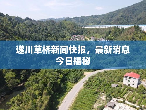 遂川草橋新聞快報，最新消息今日揭秘