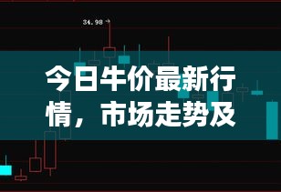 今日牛價最新行情，市場走勢及影響因素深度解析