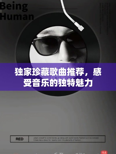 獨家珍藏歌曲推薦，感受音樂的獨特魅力