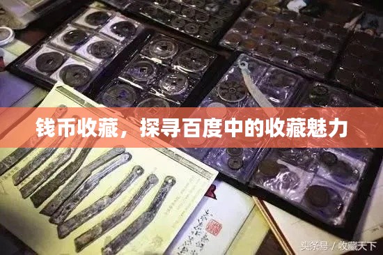 錢幣收藏，探尋百度中的收藏魅力
