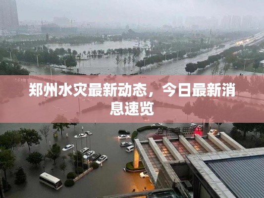 鄭州水災(zāi)最新動(dòng)態(tài)，今日最新消息速覽