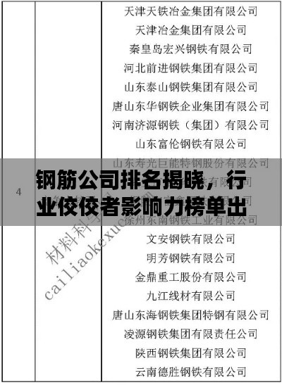 鋼筋公司排名揭曉，行業(yè)佼佼者影響力榜單出爐！