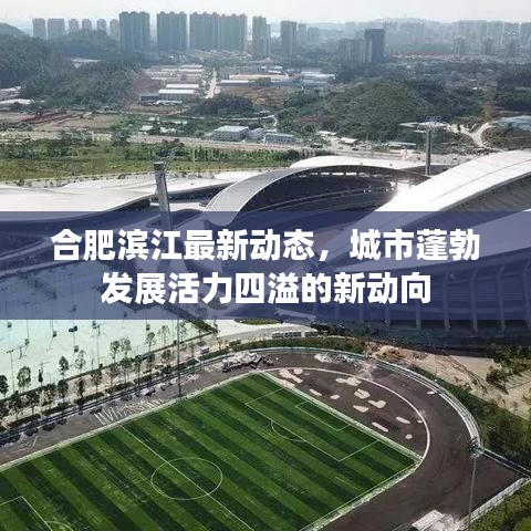 合肥濱江最新動(dòng)態(tài)，城市蓬勃發(fā)展活力四溢的新動(dòng)向