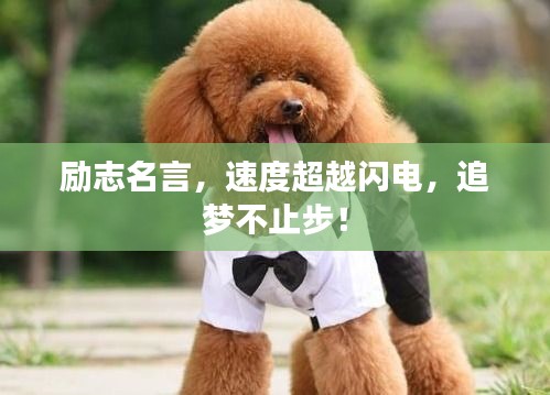 勵志名言，速度超越閃電，追夢不止步！