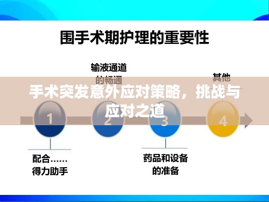 手術(shù)突發(fā)意外應(yīng)對策略，挑戰(zhàn)與應(yīng)對之道