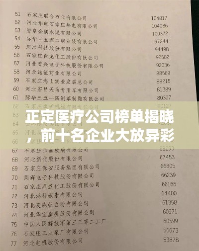 正定醫(yī)療公司榜單揭曉，前十名企業(yè)大放異彩！