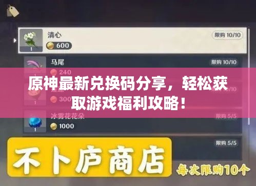 原神最新兌換碼分享，輕松獲取游戲福利攻略！