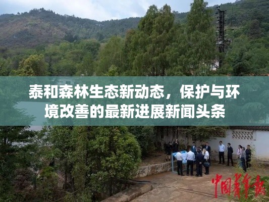 泰和森林生態(tài)新動態(tài)，保護(hù)與環(huán)境改善的最新進(jìn)展新聞頭條