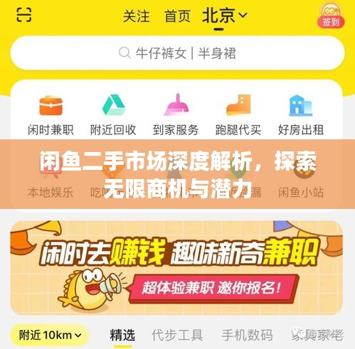 閑魚(yú)二手市場(chǎng)深度解析，探索無(wú)限商機(jī)與潛力