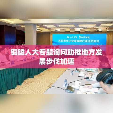 銅陵人大專題詢問(wèn)助推地方發(fā)展步伐加速
