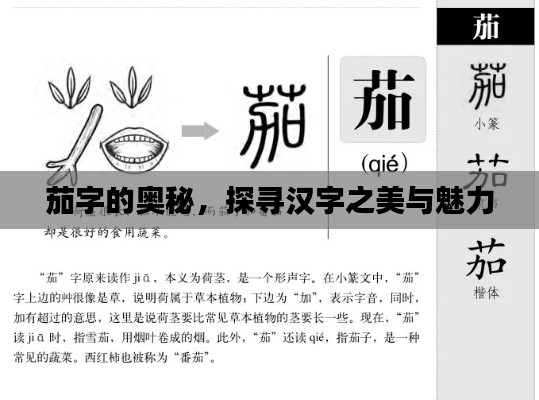 茄字的奧秘，探尋漢字之美與魅力
