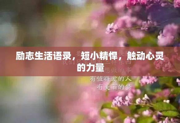 勵志生活語錄，短小精悍，觸動心靈的力量