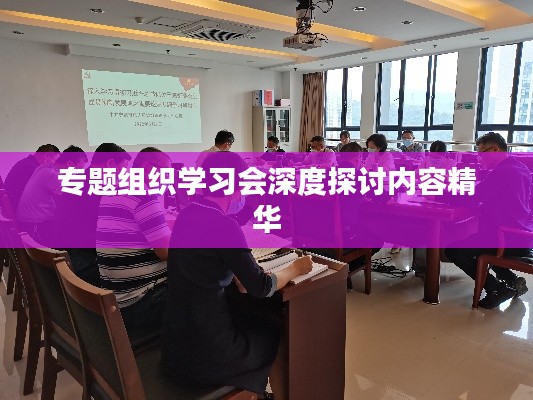 專題組織學(xué)習(xí)會深度探討內(nèi)容精華