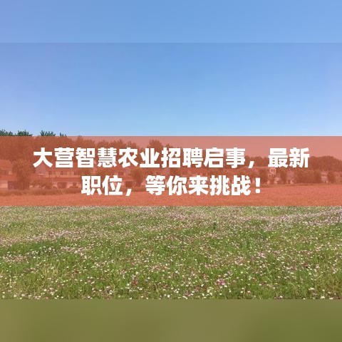 大營(yíng)智慧農(nóng)業(yè)招聘啟事，最新職位，等你來(lái)挑戰(zhàn)！